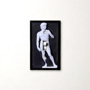 May include: A light gray and black light switch cover featuring a white silhouette of the statue of David. The switch is silver and the cover is rectangular with a black border. The background is white.