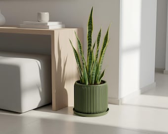 May include: A green, ribbed ceramic planter with a snake plant. The plant has long, upright green leaves with yellow edges. The planter sits on a matching saucer. The setting is a bright, modern interior.