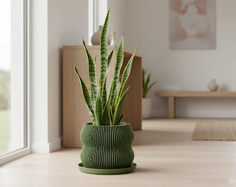 May include: A tall snake plant in a green, ribbed planter with a matching saucer. The plant has long, upright green leaves with yellow edges. The planter sits on a light wood floor near a window.