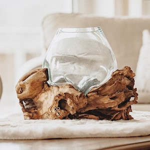 Vase root wood, molten glass on teak root, glass bowl hand-blown on root