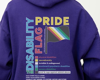 Moletom com Capuz com a Bandeira do Orgulho da Pessoa com Deficiência, Presente para Pessoas com Deficiência e Orgulho, Camiseta para Doenças Crônicas, Direitos das Pessoas com Deficiência, Deficiência Oculta, Doença Invisível, Doença Não Diagnosticada