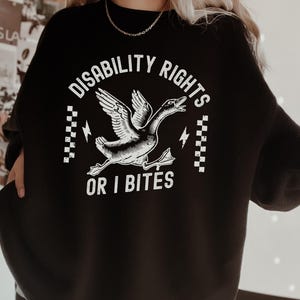 May include: Black sweatshirt with a white graphic of a goose flying with the text "Disability Rights or I Bites" in a circle.