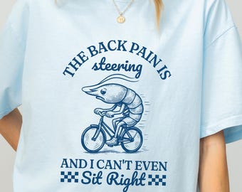 Chronische rugpijn shirt scoliose shirt spinale fusie herstel rug operatie cadeau spondylitis ankylopoetica als krijger chronische ziekte Meme