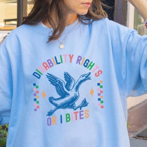 May include: Light blue sweatshirt with a graphic of a goose and the text "Disability Rights or I Bites" in rainbow colors.