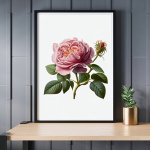 Bright Beautiful Rosa Flower, AI art, Digital download, Printable floral art