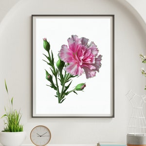Bright Beautiful Dianthus Flower, AI art, Digital download, Printable floral art