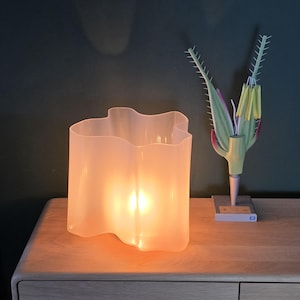 May include: A translucent, wavy-edged lamp glows with a warm light, placed on a wooden surface. Next to it is a botanical model with green, yellow, and pink details, mounted on a small base. The background is a dark green wall.