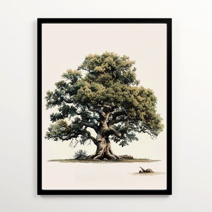 May include: A vintage illustration of a large, green oak tree with a thick trunk and many branches. The tree is set against a white background.