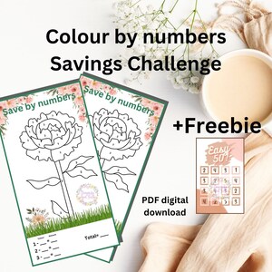 Color by numbers savings Challenge. Fits A6 Budget Binder / A6 Envelope