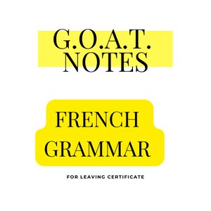 Leaving cert French grammar notes pdf download