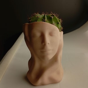 Pode incluir: Um vaso de cerâmica bege em forma de rosto humano com olhos fechados e acabamento fosco liso. O topo do vaso é aberto e contém um cacto verde e redondo com espinhos castanhos afiados que se projetam do topo da área da cabeça.