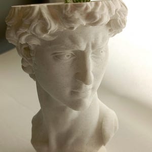 May include: A white speckled planter shaped like the head of Michelangelo's David. The sculpture features detailed facial features and curly hair, with a small green cactus planted in the open top section of the head, creating a unique plant display.