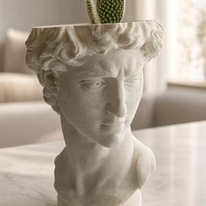 David Bust Planter, Michelangelo Head Vase, Classical Art Decor, Marble Texture Pot