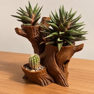 May include: A brown, tree-stump-shaped planter with three distinct sections holding two spiky, dark green Haworthia succulents and one small, round, green cactus with visible spines, all potted in soil with small white pebbles.
