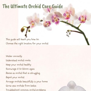 May include: A document titled The Ultimate Orchid Care Guide featuring a branch of white and purple orchids at the top and a single white orchid at the bottom. The text lists instructions for watering, root care, blooming, and troubleshooting.