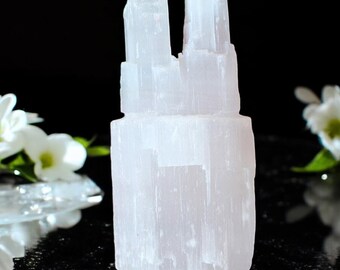 Tour jumelle en cristal de sélénite sculptée à la main : pierre d'énergie de guérison