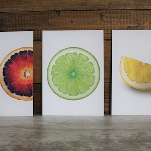 Watercolor Citrus Art Print Bundle