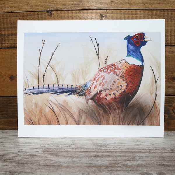 Watercolor Ring-necked Pheasant Art Print