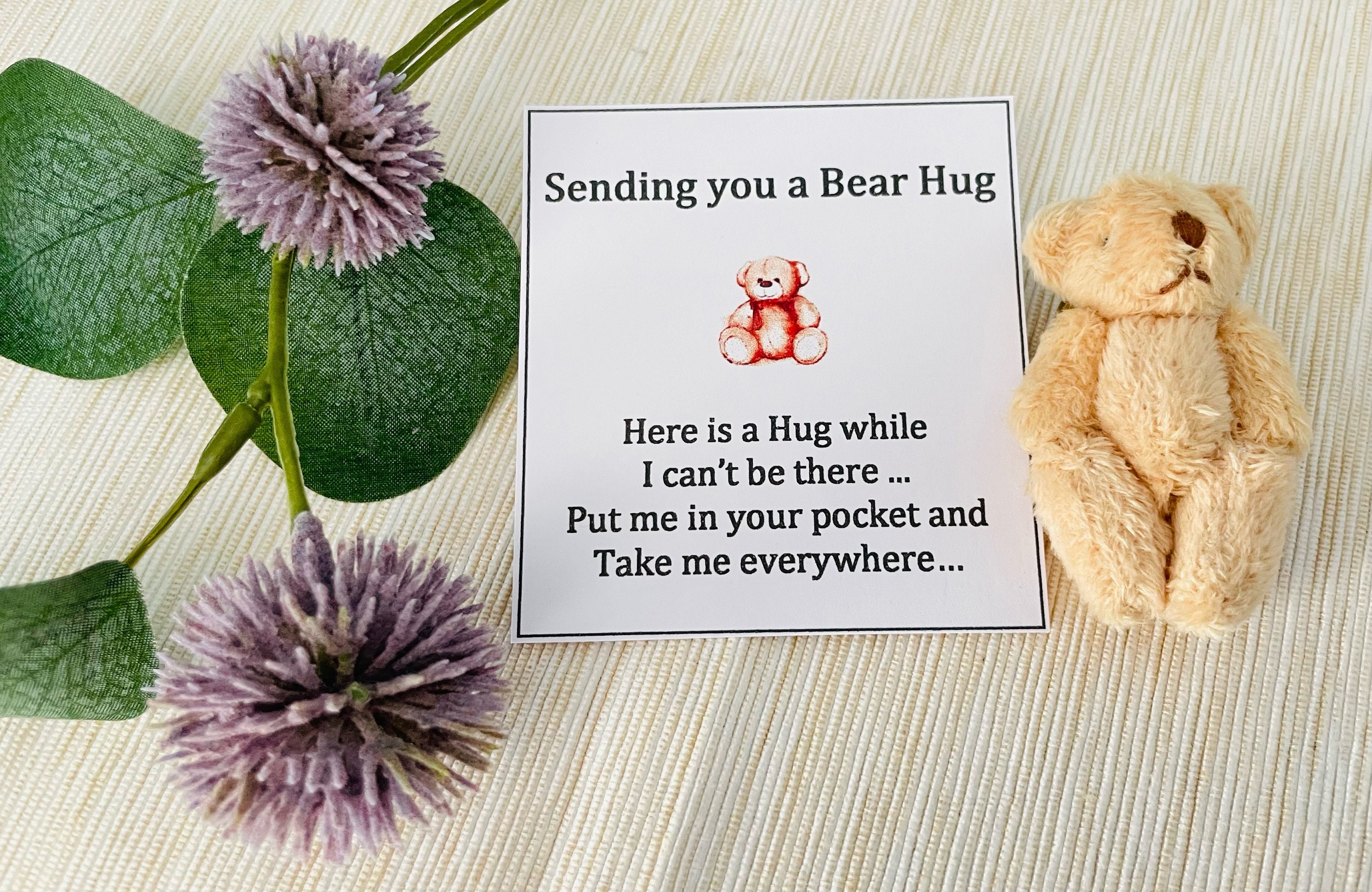 Pocket Hug, A Little Pocket Bear Hug, Ready to Give Bear Hugs to