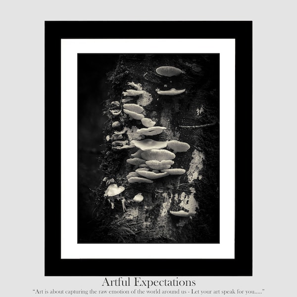 DIGITAL DOWNLOAD Wall Art Black and White Photograph Print Yourself Photo Wall Art Gift Home Decorating DIY Idea Nature mushrooms and fungi