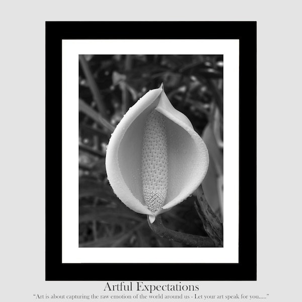 DIGITAL DOWNLOAD Wall Art Black and White Photograph Print Yourself Photo Wall Art Gift Home Decorating DIY Idea Flower Photo Boudoir Love