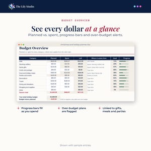 Budget overview tab with progress bars and planned versus spent totals