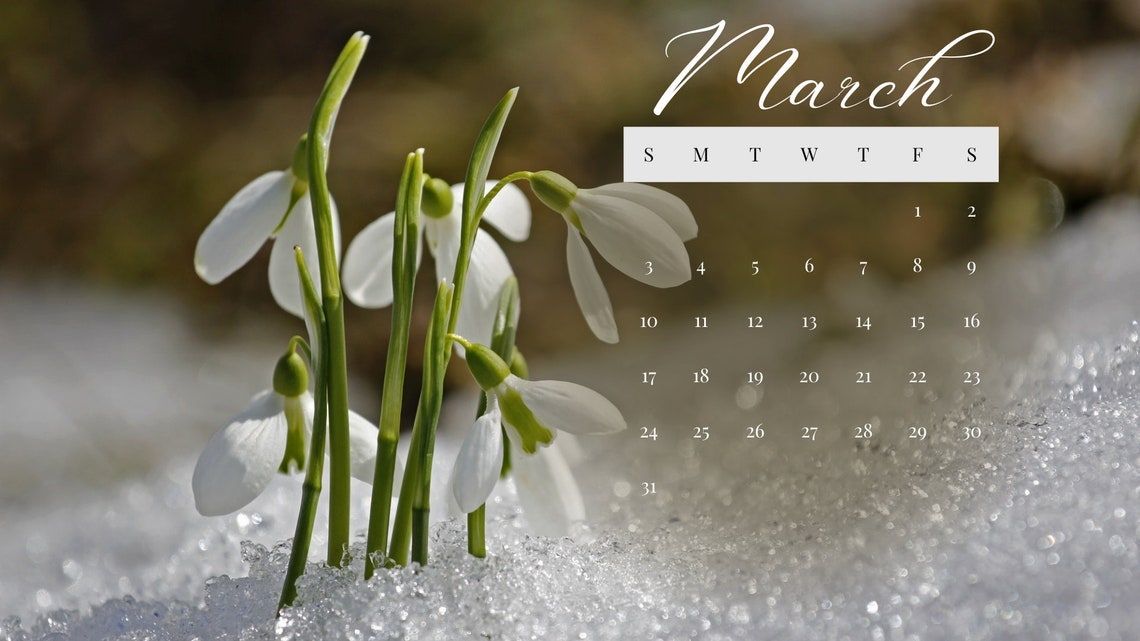 2024 Nature Desktop Windows Wallpaper Etsy