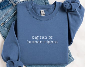 Big Fan Of Human Rights Sweatshirt, Activism Sweatshirt, Equality Sweatshirt, Political Crewneck, Social Justice Sweatshirt, Liberal Sweater