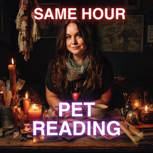 Zelfde uur huisdier antwoord lezen, tarot lezen zonder vragen, paranormale tarotkaarten lezen, vruchtbaarheidsmedium lezen, spiritueel advies