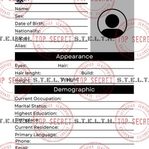 Suspect Profiles (Police, spy, detective play)
