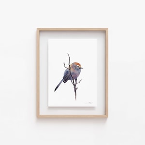 Bird Print, Bird Watercolor Prints, Bird Art, Bird Wall Decor, Wall Art Prints, A4 Prints