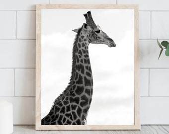 Giraffe Print - PRINTABLE WALL ART - black and white photo, safari animal, large poster, digital download, safari, Giraffe photo, bw