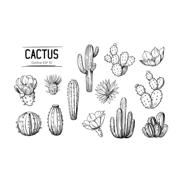 Cactus SVG,Cactus svg files for cricut,Cactus svg Bundle,PNG,DXF,Cactus Cut ifle,Cricut,Silhouette,Commercial use