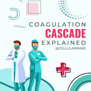 May include: Two doctors, one wearing a white coat and the other wearing a blue scrub suit, stand with their arms crossed. Both doctors are wearing face masks. The text "COAGULATION CASCADE EXPLAINED @CELLULARBABE" is displayed in the upper right corner of the image.