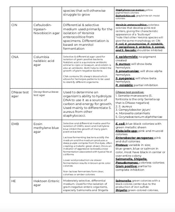 Microbiology Culture & Media Charts Mlt, Mls, Phd Clinical and