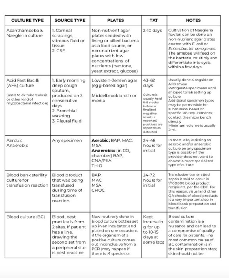Microbiology Culture & Media Charts Mlt/mls/phd Clinical Etsy