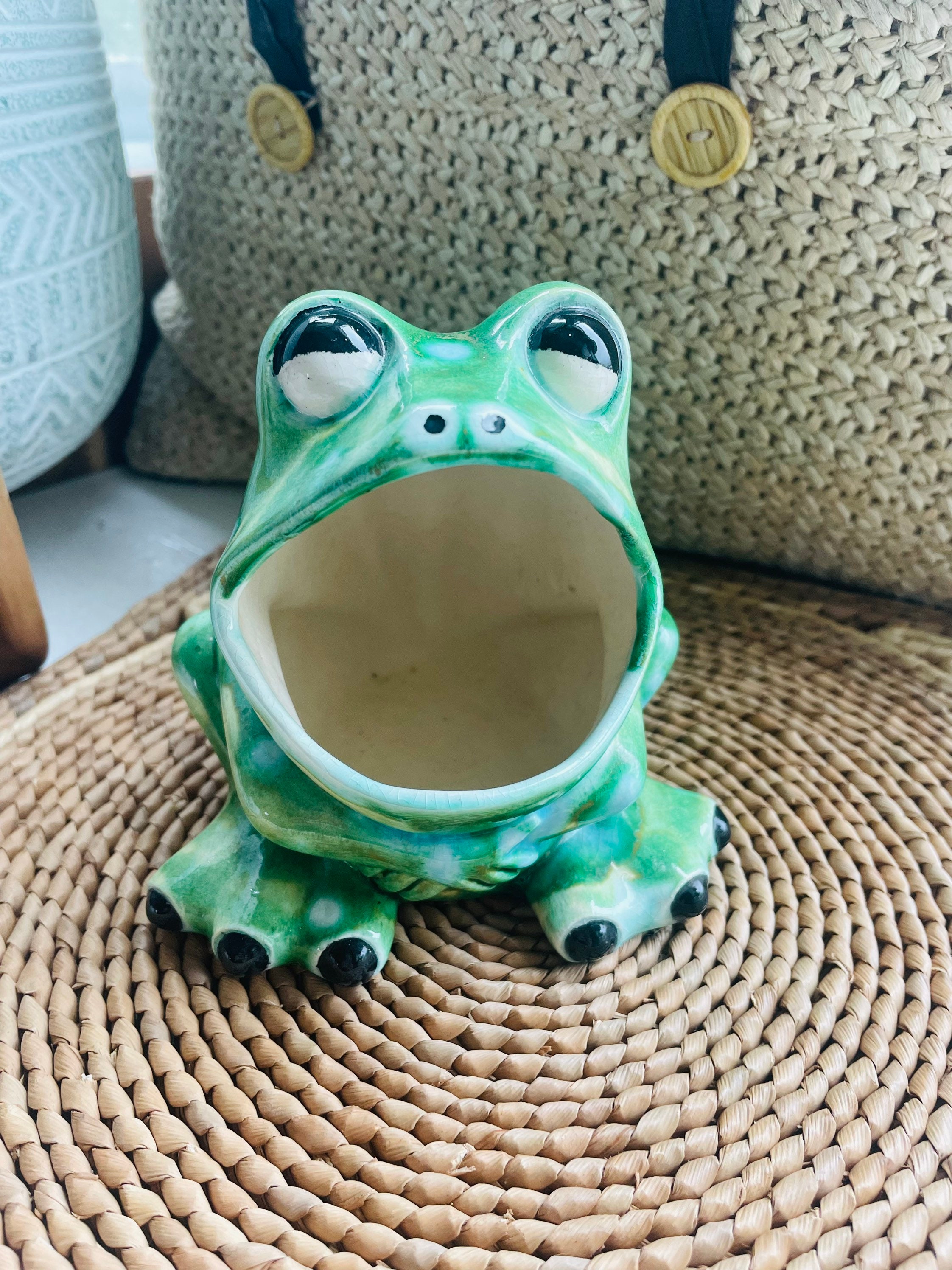 Ceramic Frog Kitchen Scrubby/ Sponge Holder w/ ring keeper
