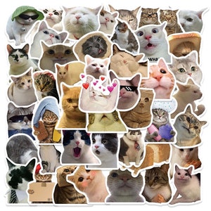 Cat stickers, funny cats, random cats, cute cats, meme cats stickers.