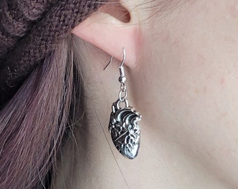 Anatomical Heart Earrings: Hypoallergenic Hooks, Science Jewelry