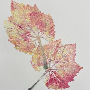 Cartão postal de folha de uva Sonoma com envelope artesanal
