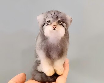 Hansa pallas cat sales