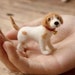 see more listings in the Doll House Dog section