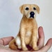 see more listings in the Doll House Dog section