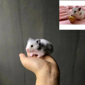 Custom Needle Felted Hamster FigurineCustom Felt Hamster ProtraitWool Feltin PetsRealistic Hamster Portrait ReplicaHamster Lovers Gift image 2