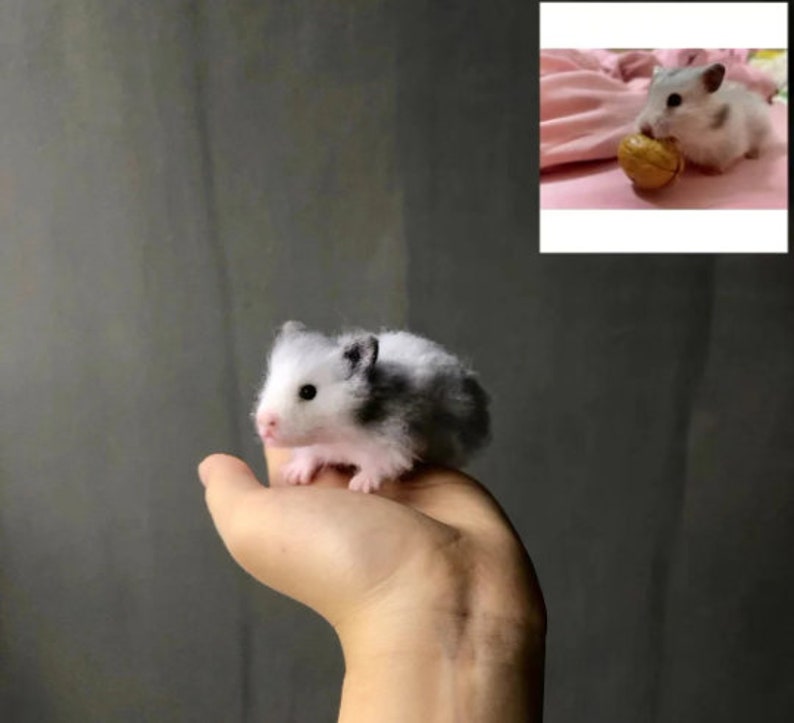 Custom Needle Felted Hamster FigurineCustom Felt Hamster ProtraitWool Feltin PetsRealistic Hamster Portrait ReplicaHamster Lovers Gift imagem 2