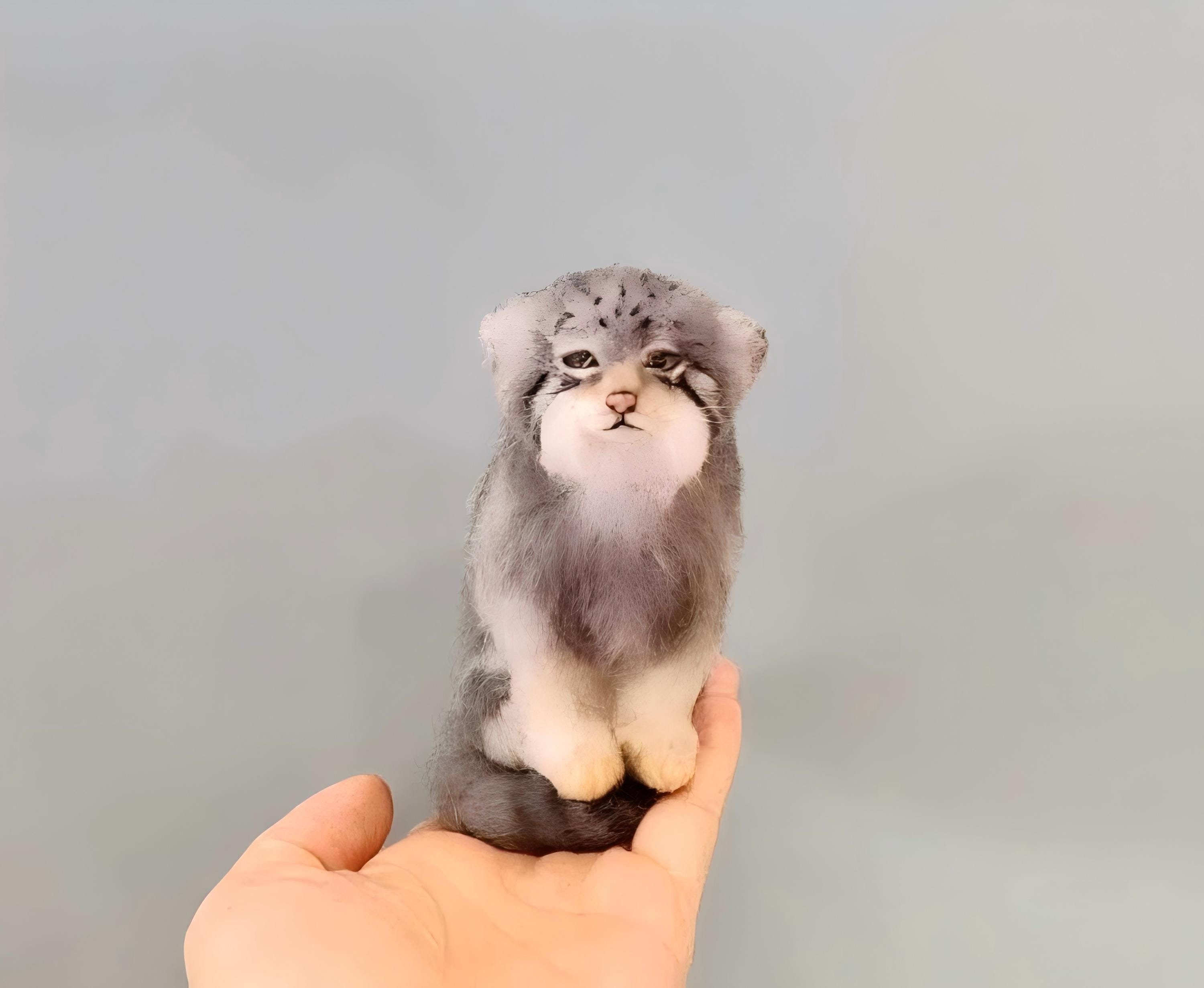 Pallas Cat Etsy UK