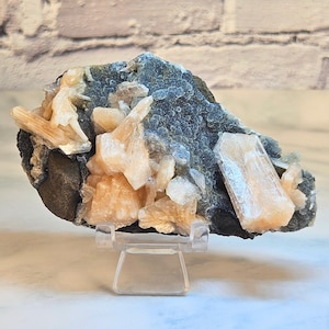 Könnte beinhalten: Ein Mineralpräparat mit einer dunkelgrauen Matrix und Clustern aus pfirsichfarbenen Kristallen. Die Kristalle sind durchscheinend und in verschiedenen Formationen angeordnet. Das Präparat wird auf einem transparenten Kunststoffständer präsentiert.