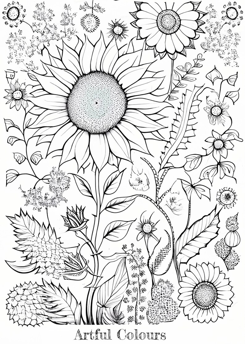 Printable Wild Flowers Coloring Page - Etsy