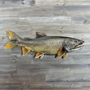 May include: A detailed, wall-mounted fish sculpture with a speckled body, dark head, and yellow-tipped fins. The fish is mounted on a gray wooden plank wall, with a brown tiled section below. The fish is a decorative item.