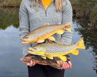 Brown Trout Duo 2D Wall Art Replica -21 Inch Flat Metal Realistic